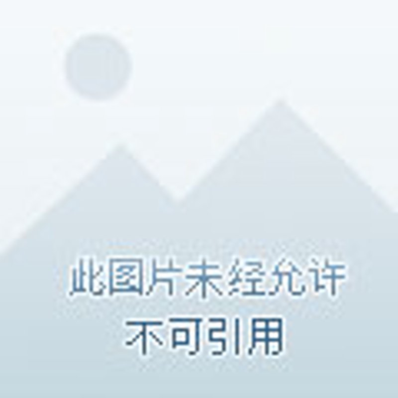 科技企业服务处：居敏敏的独到见解与行动指南
