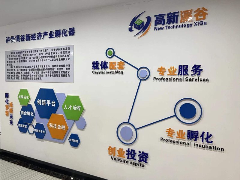 科技企业服务，如何选对合作伙伴？——以居敏敏为例